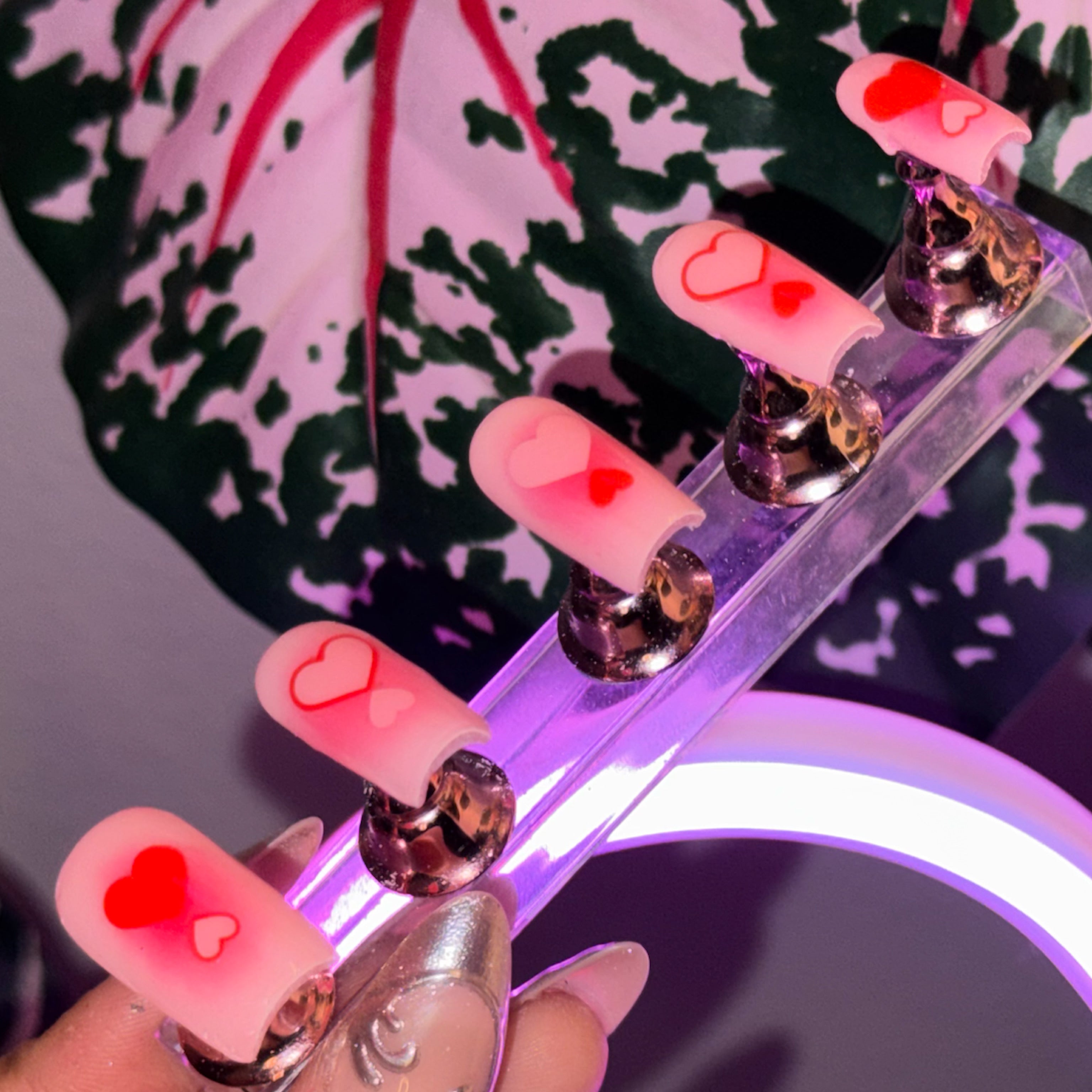 Blushing Valentines 10 PC